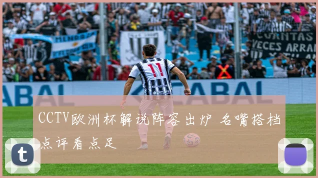 CCTV欧洲杯解说阵容出炉 名嘴搭档点评看点足