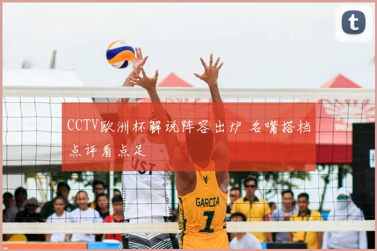 CCTV欧洲杯解说阵容出炉 名嘴搭档点评看点足