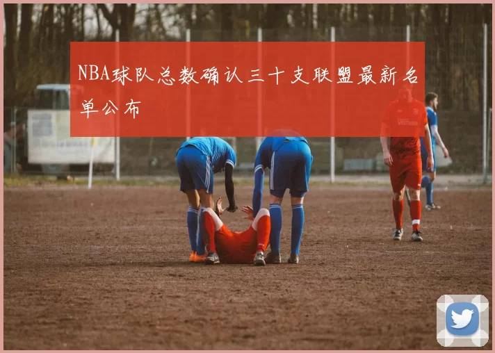 NBA球队总数确认三十支联盟最新名单公布