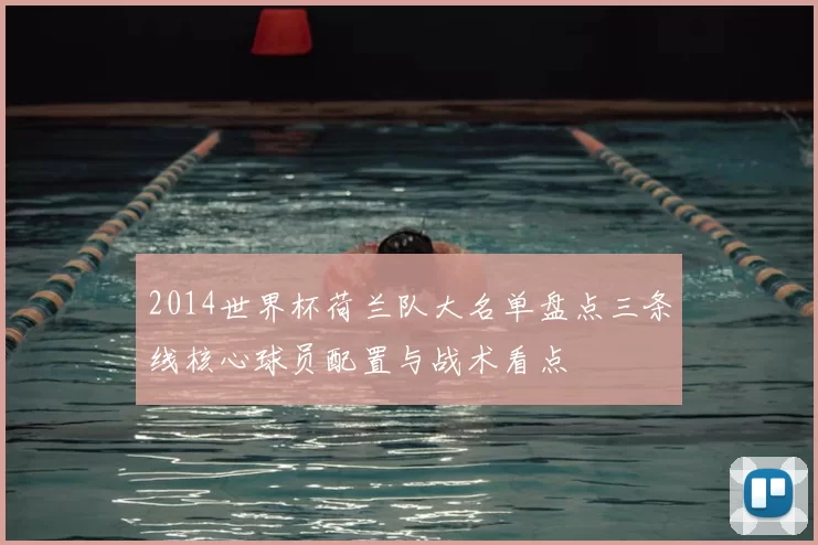 2014世界杯荷兰队大名单盘点三条线核心球员配置与战术看点