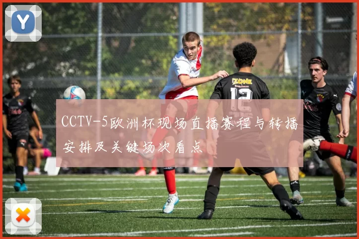 CCTV-5欧洲杯现场直播赛程与转播安排及关键场次看点